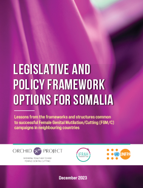 Legislative and Policy Framework Options for Somalia