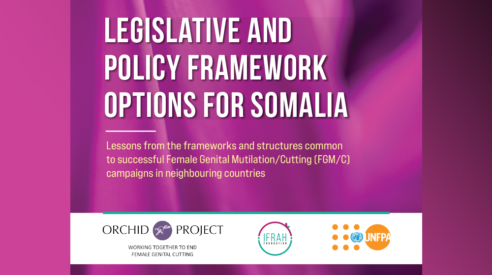 Legislative and Policy Framework Options for Somalia