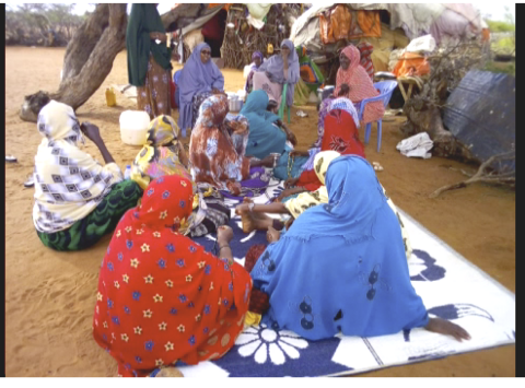 Jamila and colleagues carrying out an outreach campaign