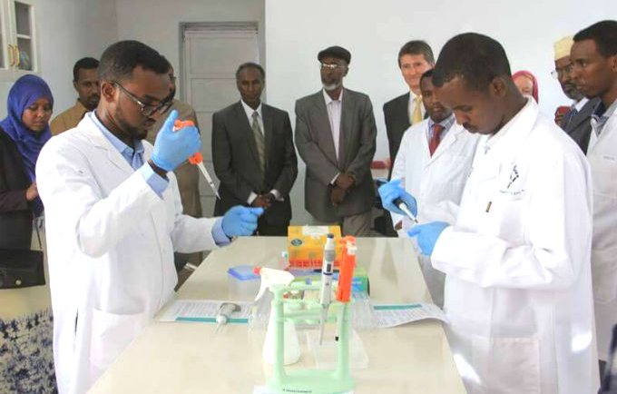 Lab technicians demonstrate on DNA testing 
