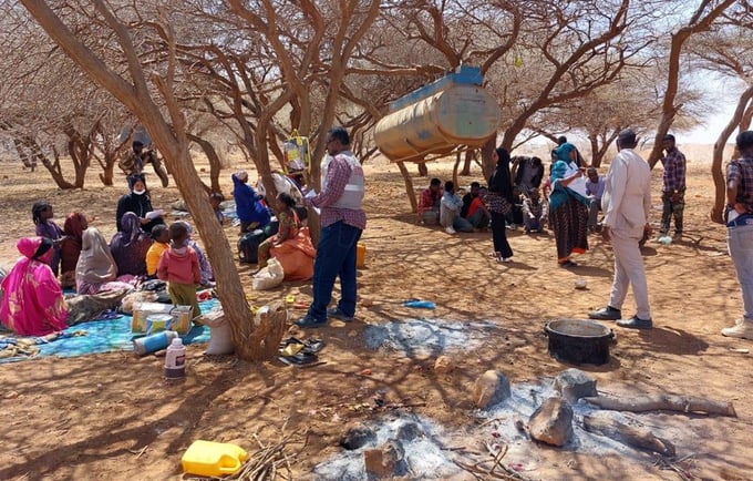 Displaced people in Kalabeydh (second largest town after Laascaanood). Photo Credit NRC