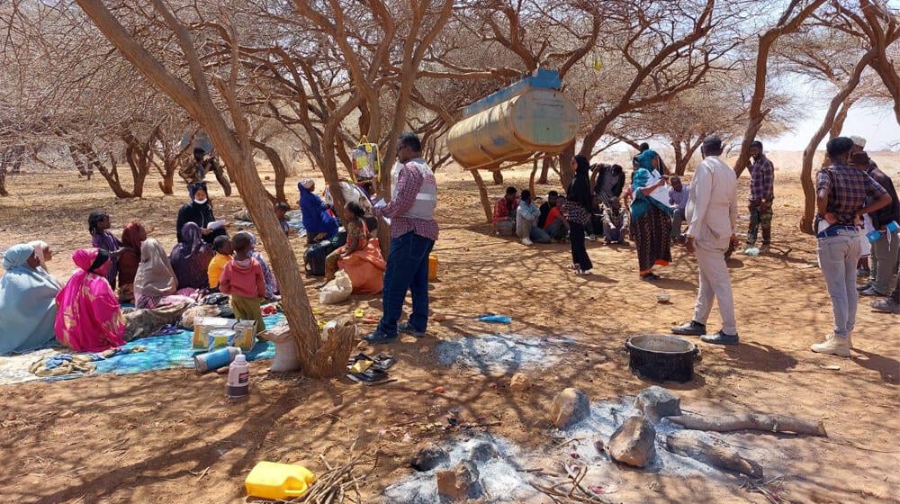 Displaced people in Kalabeydh (second largest town after Laascaanood). Photo Credit NRC