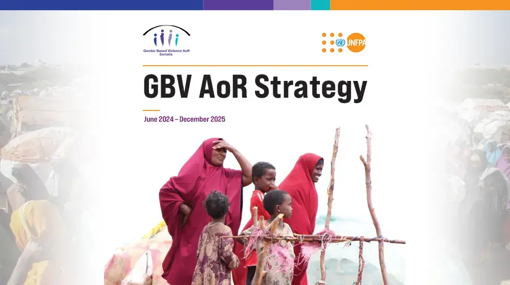 GBV AoR Strategy: June 2024 - December 2025