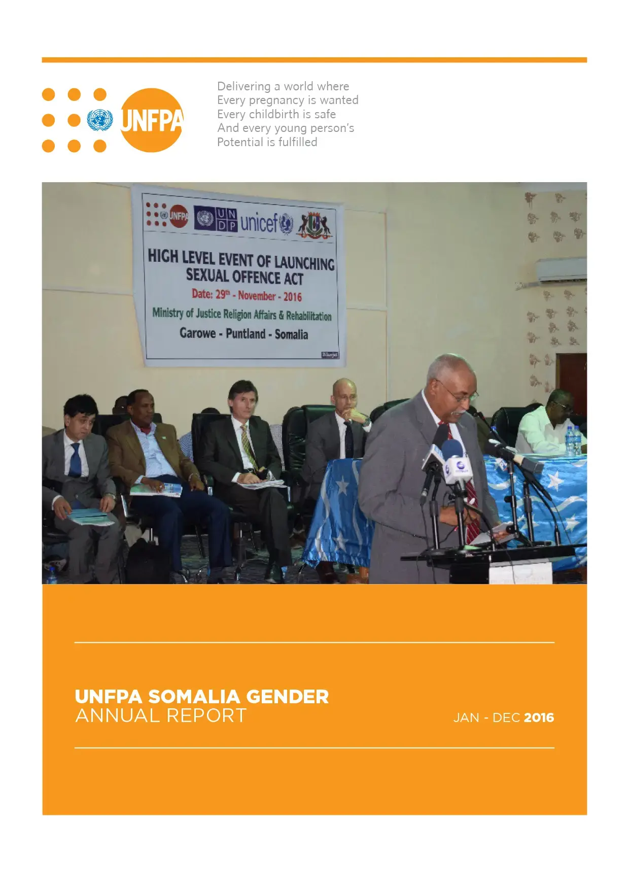 2016 Annual Report - Gender Based Violence in Somalia 