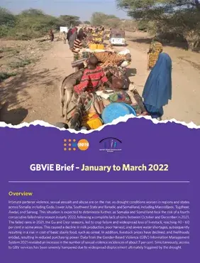 GBViE Brief – January to March 2022