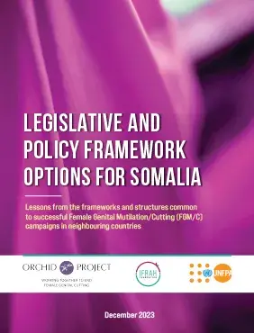 Legislative and Policy Framework Options for Somalia