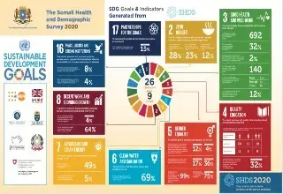 SDGs & Indicators generated from the Somali Health & Demographic Survey 