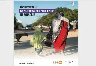 Overview of Gender-Based Violence in Somalia - Advocacy Brief, 2021